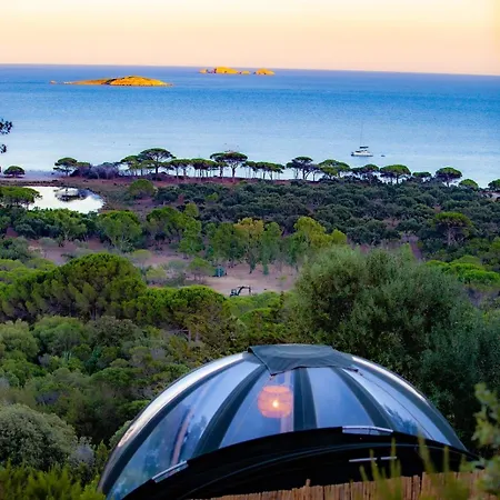 Palom'bolla * 维琪奥港